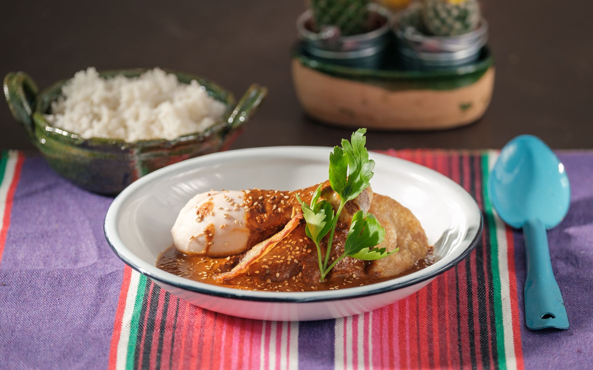 Mole Poblano